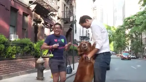 José Ángel Abad conoce a Louboutina, la perra más cariñosa del mundo José Ángel Abad conoce a Louboutina, la perra más cariñosa del mundo