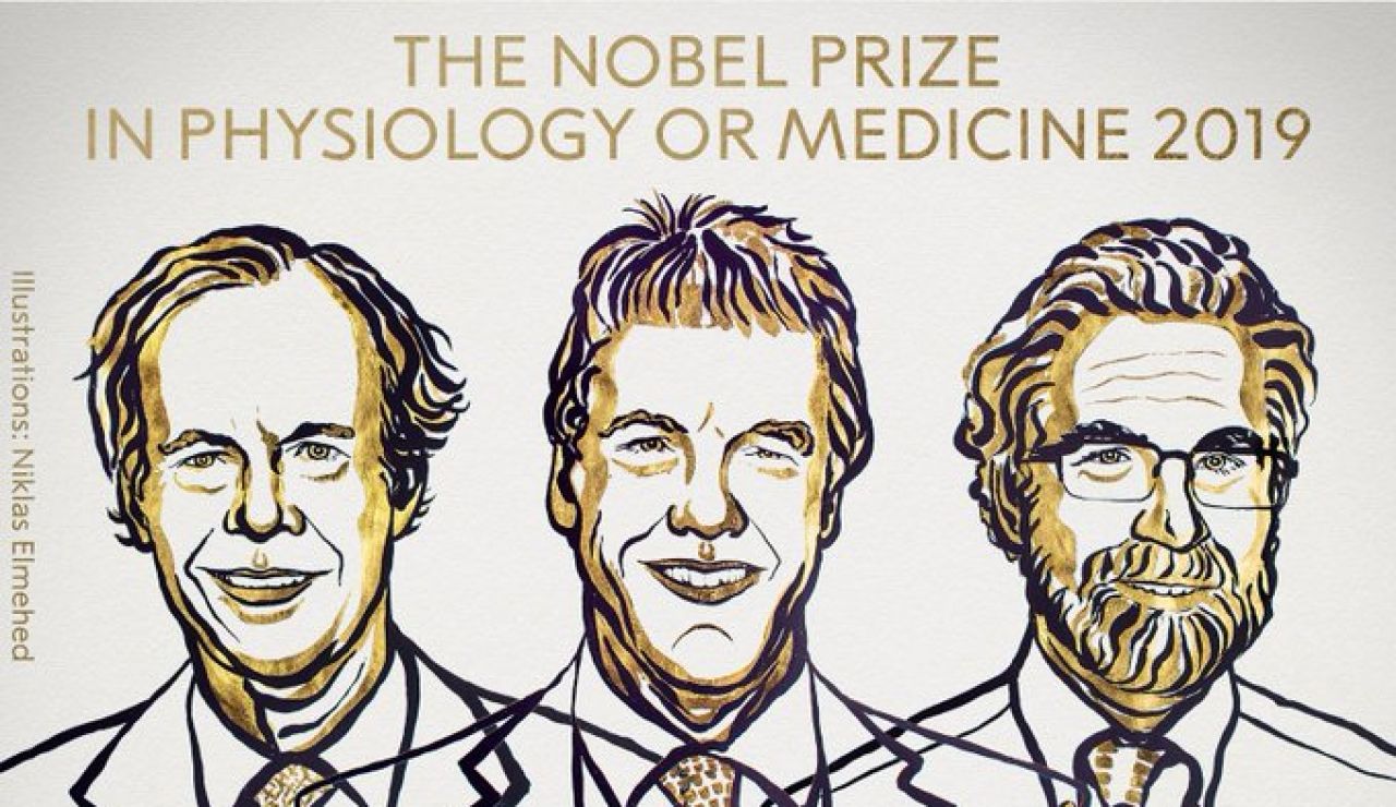 Premio Nobel de Medicina