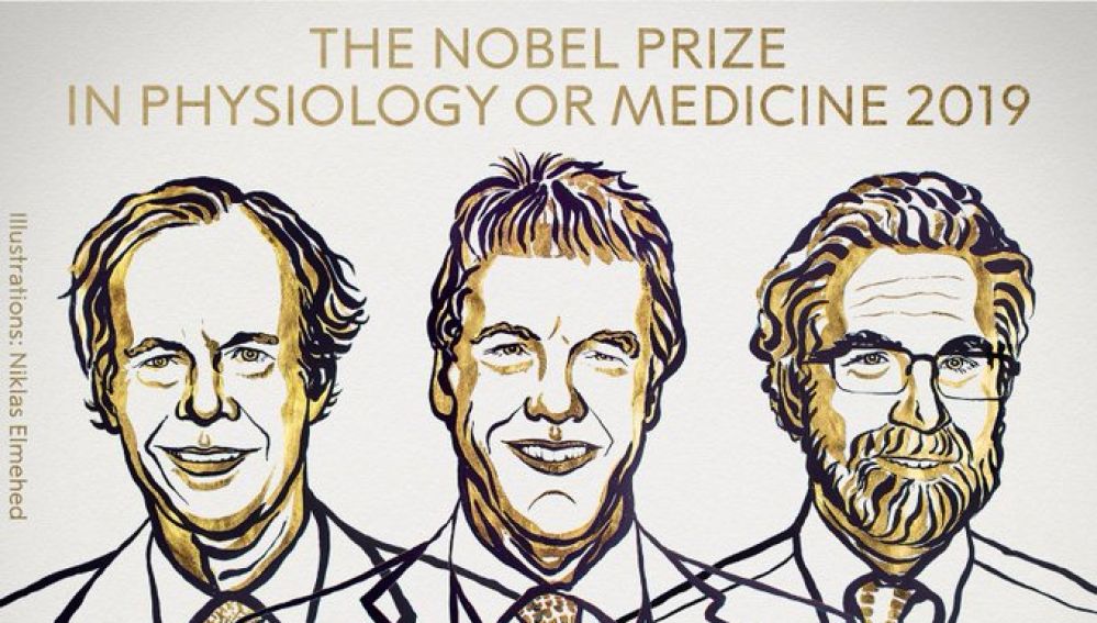 Premio Nobel de Medicina