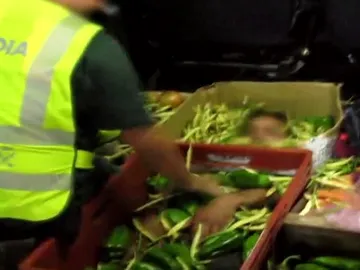 Inmigrante oculto bajo kilos de verduras en Almería Inmigrante oculto bajo kilos de verduras en Almería