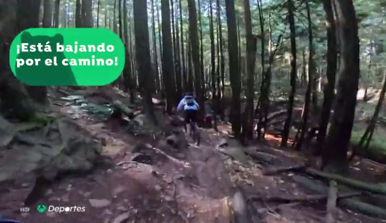 Graban la agónica persecución de un oso negro a tres ciclistas durante un kilómetro en una montaña de Canadá Graban la agónica persecución de un oso negro a tres ciclistas durante un kilómetro en una montaña de Canadá