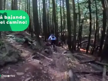 Graban la agónica persecución de un oso negro a tres ciclistas durante un kilómetro en una montaña de Canadá Graban la agónica persecución de un oso negro a tres ciclistas durante un kilómetro en una montaña de Canadá