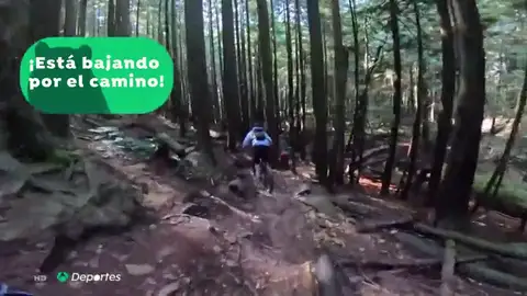 Graban la agónica persecución de un oso negro a tres ciclistas durante un kilómetro en una montaña de Canadá Graban la agónica persecución de un oso negro a tres ciclistas durante un kilómetro en una montaña de Canadá