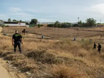 Dispositivo de búsqueda de la Guardia Civil, a las afueras de la localidad sevillana de Carmona Dispositivo de búsqueda de la Guardia Civil, a las afueras de la localidad sevillana de Carmona