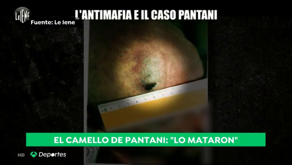 Las imágenes inéditas del cuerpo de Marco Pantani que demostrarían que fue asesinado