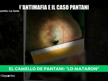 Las imágenes inéditas del cuerpo de Marco Pantani que demostrarían que fue asesinado