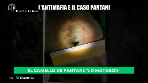 Las imágenes inéditas del cuerpo de Marco Pantani que demostrarían que fue asesinado Las imágenes inéditas del cuerpo de Marco Pantani que demostrarían que fue asesinado