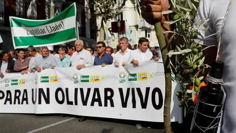 Manifestación olivareros Manifestación olivareros