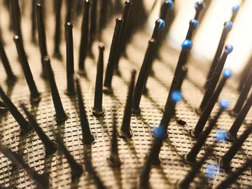 Cepillo de pelo Cepillo de pelo