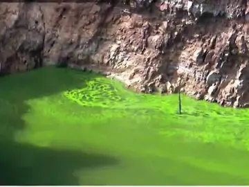 El río Tajo, invadido por las algas El río Tajo, invadido por las algas