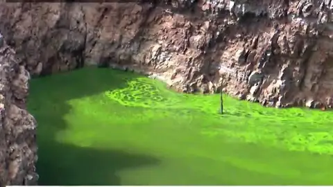 El río Tajo, invadido por las algas El río Tajo, invadido por las algas
