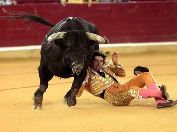 Miguel Ángel Perera, cogido por el sexto toro de la Feria del Pilar Miguel Ángel Perera, cogido por el sexto toro de la Feria del Pilar