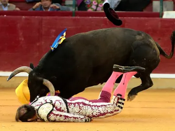 El momento de la cogida a Mariano de la Viña El momento de la cogida a Mariano de la Viña