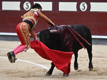 El torero Gonzalo Caballero El torero Gonzalo Caballero