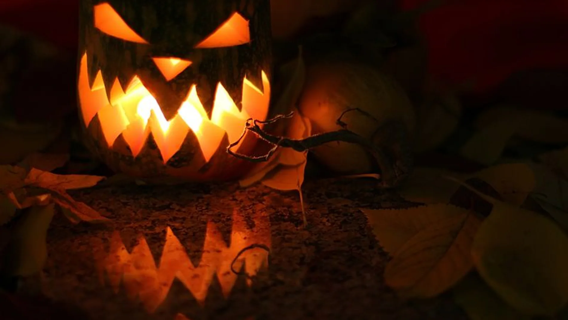 Halloween 2019 Halloween 2019