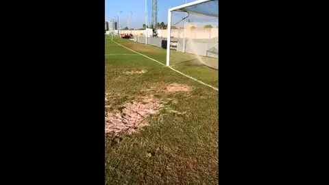 El mal estado del terreno de juego El mal estado del terreno de juego