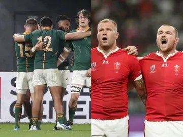 Gales y Sudafrica jugarán la segunda semifinal del Mundial de Rugby Gales y Sudafrica jugarán la segunda semifinal del Mundial de Rugby