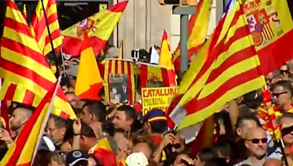Manifestación constitucional