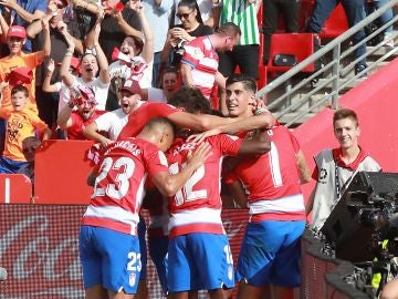 Los jugadores del Granada celebran el gol de Vadillo ante el Betis