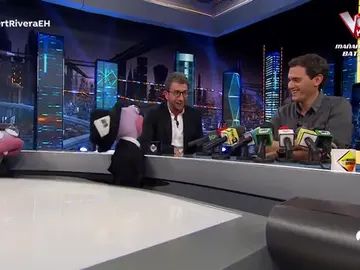 ALBERT RIVERA ALBERT RIVERA