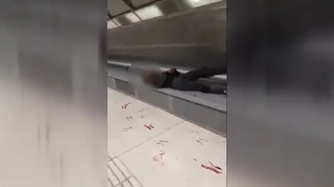 Una multitudinaria pelea con palos y armas blancas deja al menos un degollado en Badalona Una multitudinaria pelea con palos y armas blancas deja al menos un degollado en Badalona