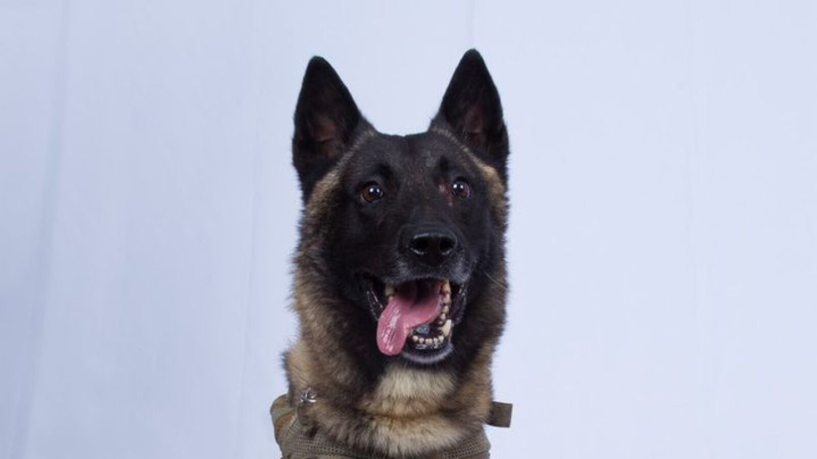 Trump desvela el nombre del perro Conan pese a que debería permanecer en el anonimato