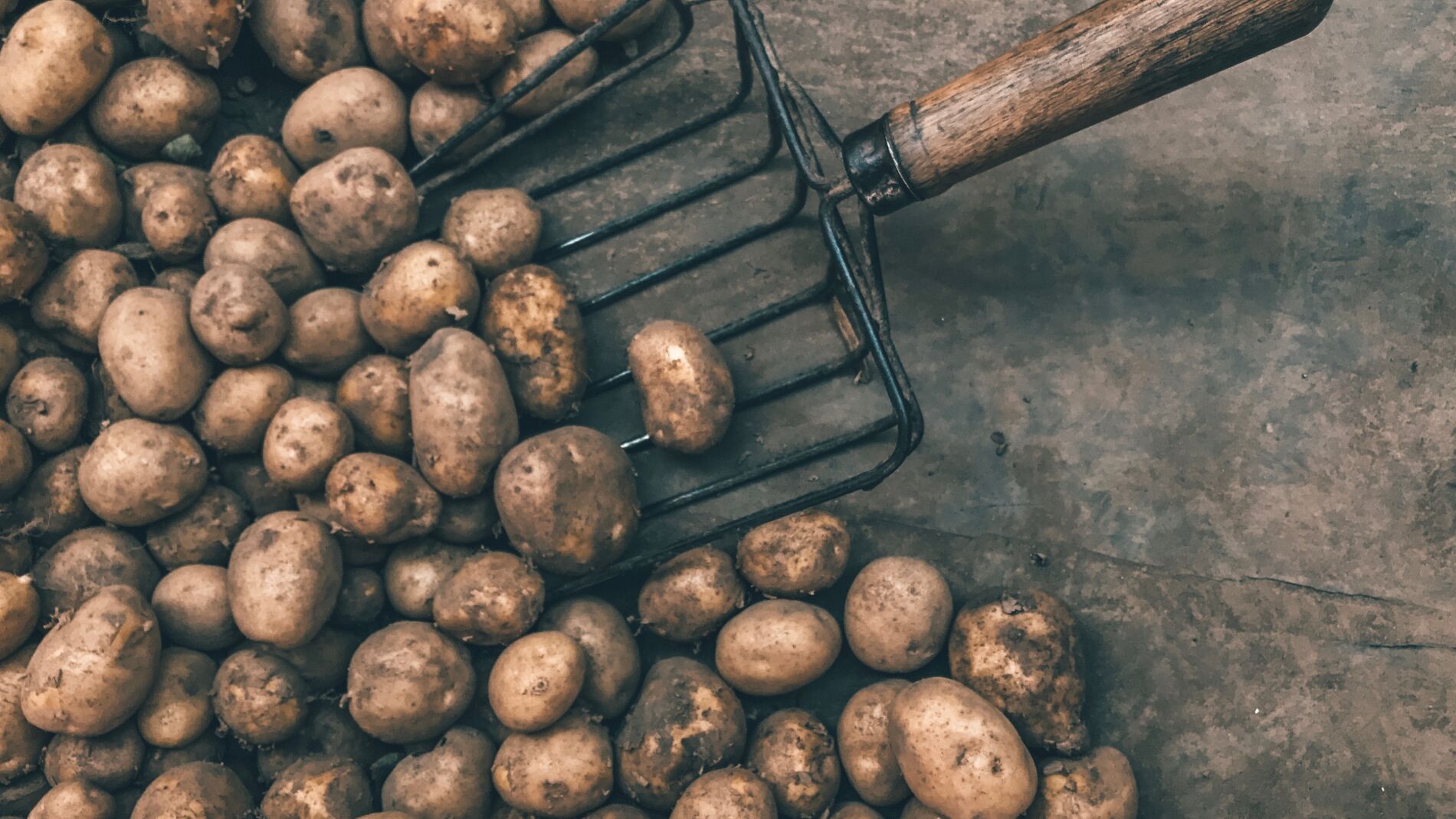 Patatas 