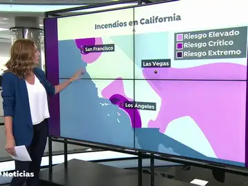REEMPLAZO CALIFOR REEMPLAZO CALIFOR