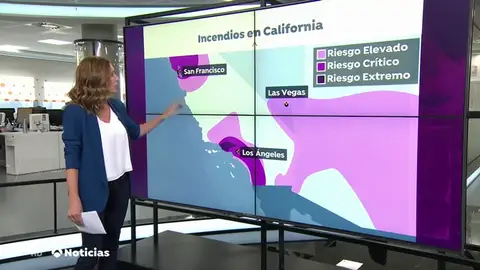 REEMPLAZO CALIFOR REEMPLAZO CALIFOR