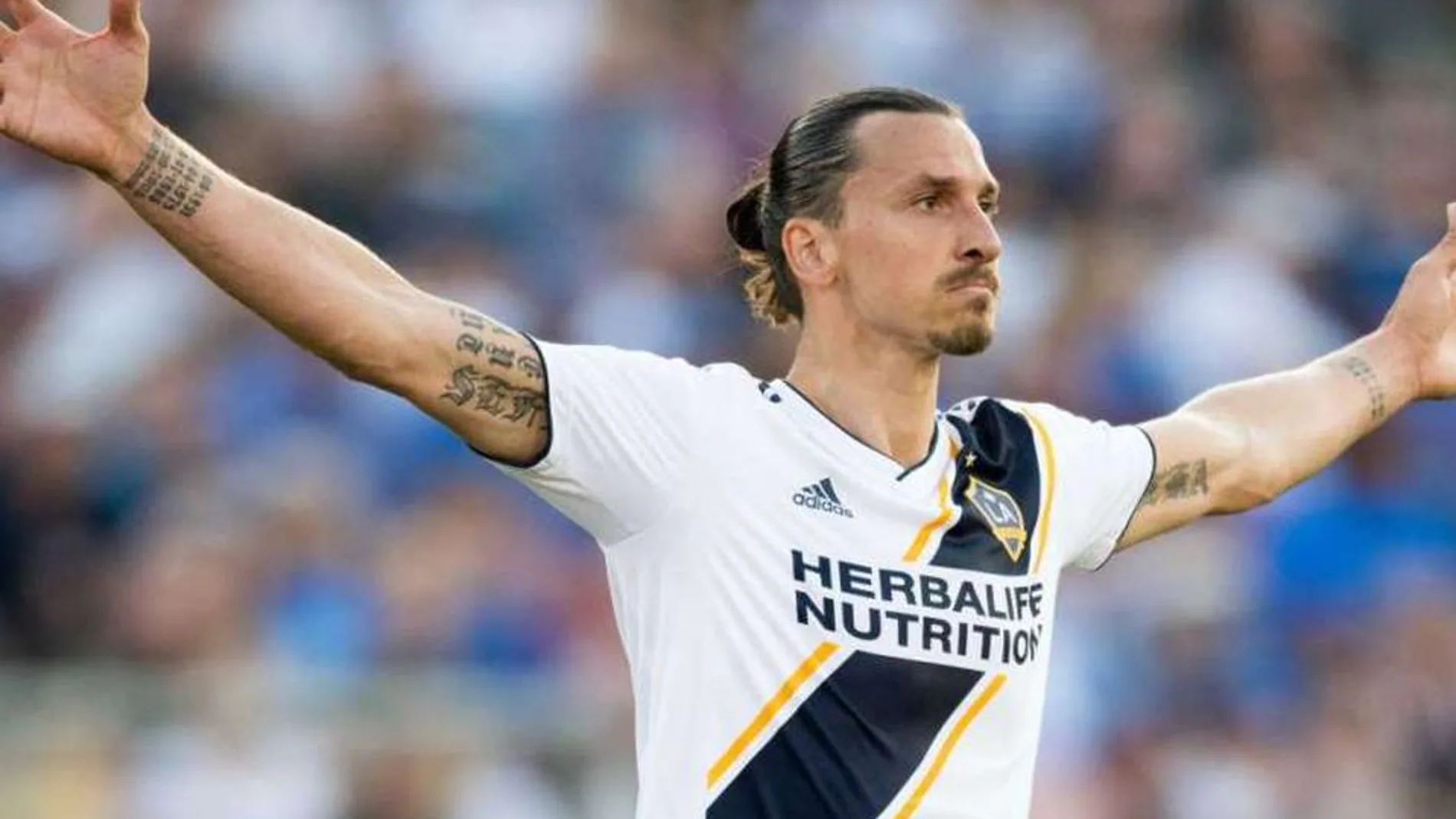 Ibrahimovic celebrando un gol con los Galaxy Ibrahimovic celebrando un gol con los Galaxy