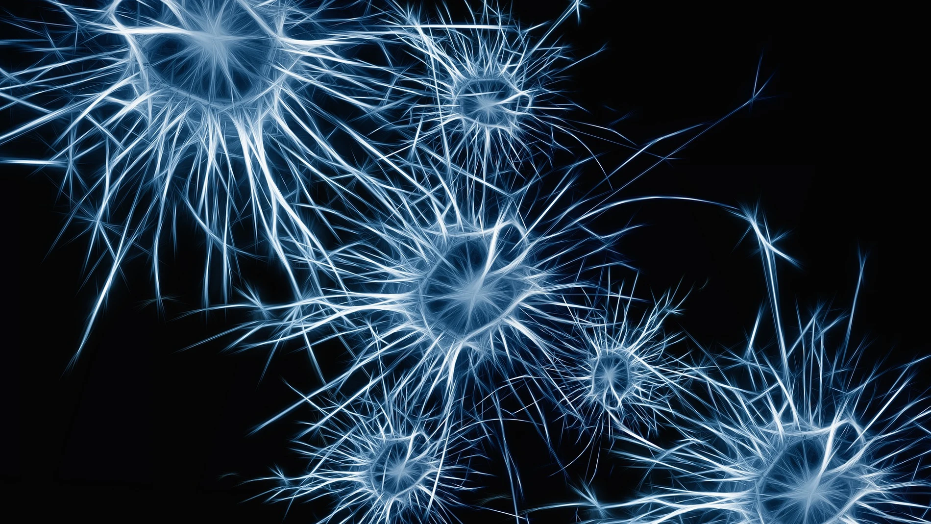 Neuronas