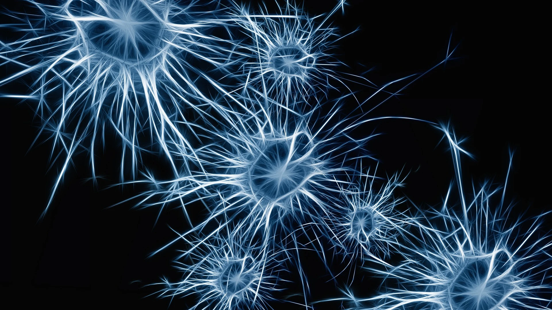 Neuronas Neuronas