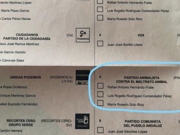 Error en una papeleta electoral en Almería