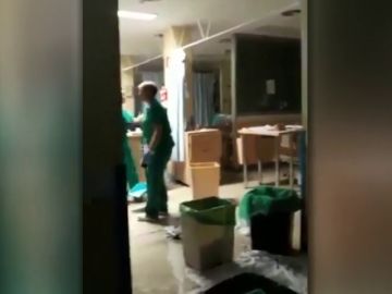 Denuncian que hay ratas en el Hospital Gregorio Marañón de Madrid