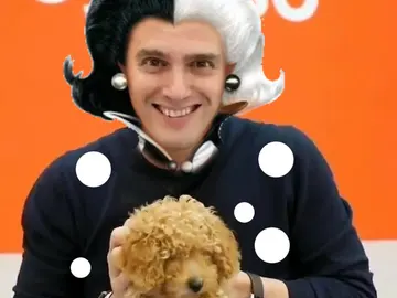 'Meme' sobre Albert Rivera y el perro lucas 'Meme' sobre Albert Rivera y el perro lucas