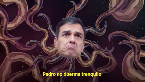 'Pedro no duerme tranquilo', el reguetón que Podemos le dedica a Sánchez en las elecciones generales 2019 'Pedro no duerme tranquilo', el reguetón que Podemos le dedica a Sánchez en las elecciones generales 2019