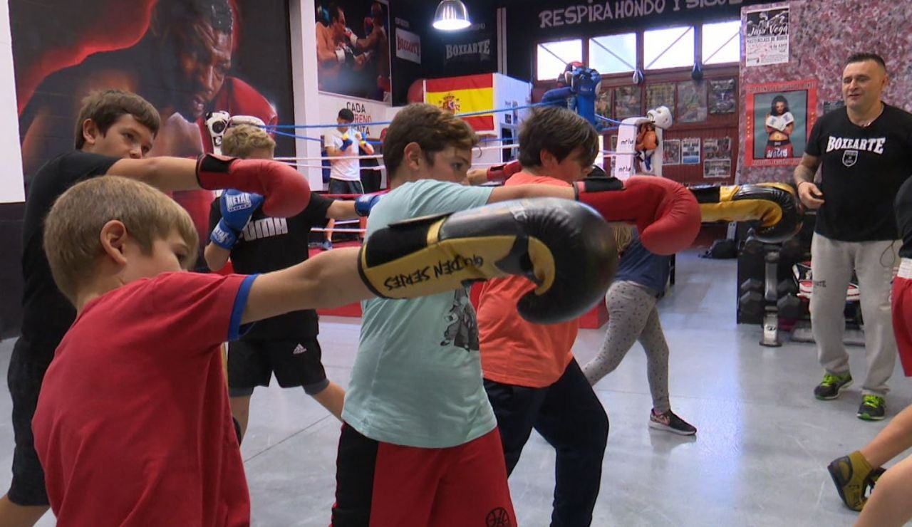 Pequeños boxeadores Pequeños boxeadores