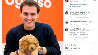 'Los Simpson' ya predijeron el momento de Albert Rivera con Lucas, perro viral de Ciudadanos 