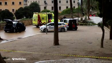 Una mujer muere al caerle parte de una palmera en Palma de Mallorca