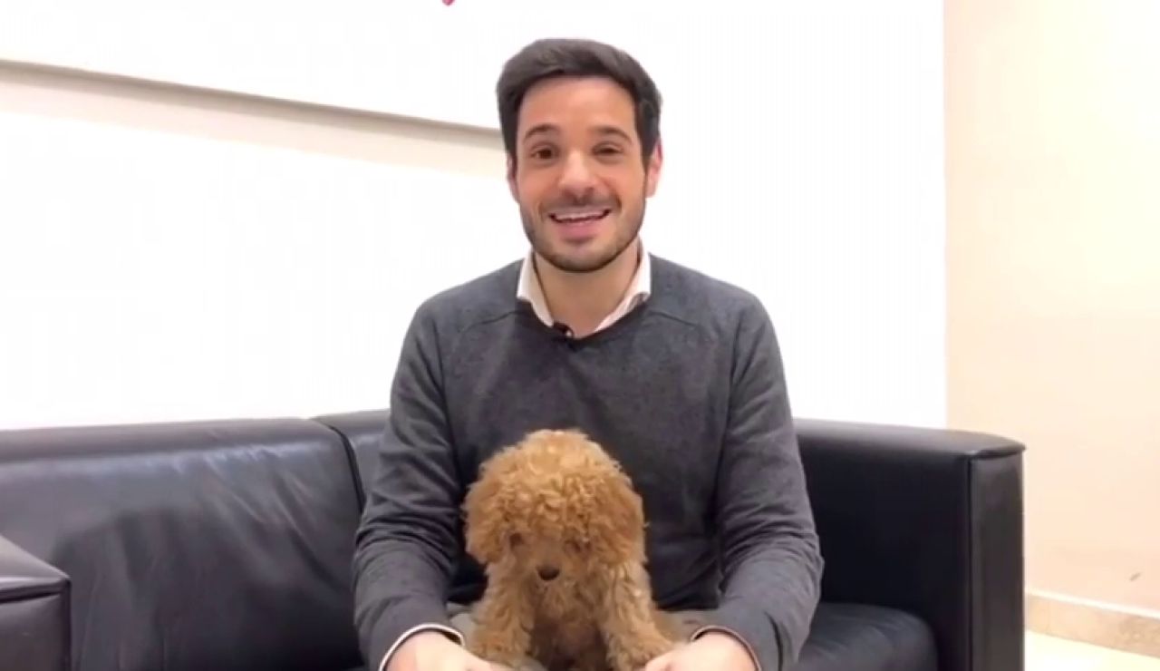 La historia detrás de Lucas, el perro viral de Ciudadanos: " La historia detrás de Lucas, el perro viral de Ciudadanos: "