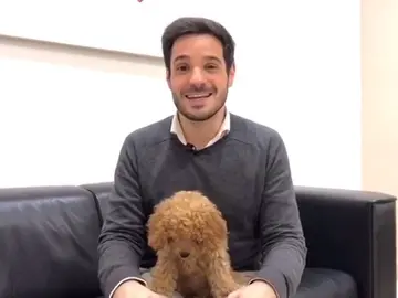 La historia detrás de Lucas, el perro viral de Ciudadanos: " La historia detrás de Lucas, el perro viral de Ciudadanos: "
