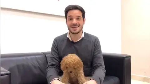 La historia detrás de Lucas, el perro viral de Ciudadanos: " La historia detrás de Lucas, el perro viral de Ciudadanos: "