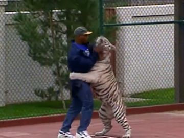 Mike Tyson y su tigre Kenia