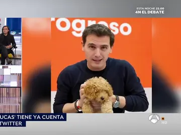 Albert Rivera, líder de Ciudadanos. Albert Rivera, líder de Ciudadanos.