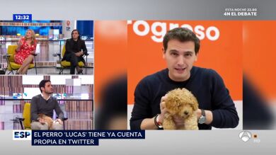 Lucas, la 'mascota viral' de Albert Rivera: 