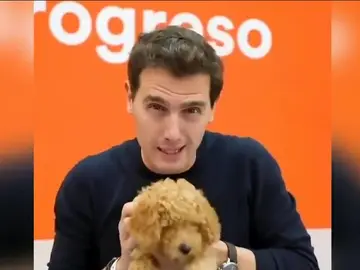 Elecciones generales 2019: Estos son los virales de la campaña electoral Elecciones generales 2019: Estos son los virales de la campaña electoral