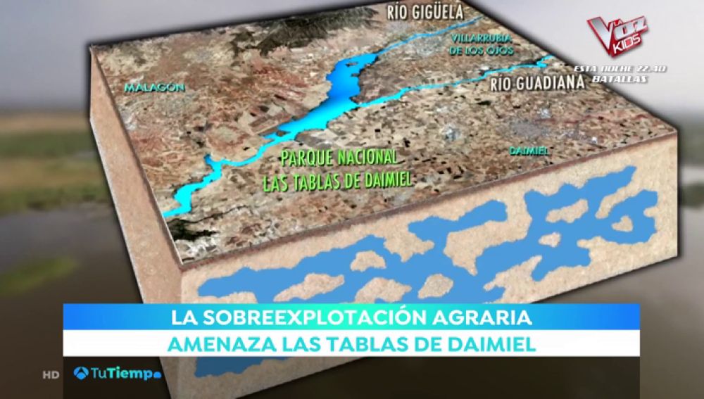 Las Tablas de Daimiel, un lugar único en el mundo sin agua