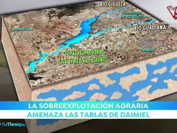 Las Tablas de Daimiel, un lugar único en el mundo sin agua Las Tablas de Daimiel, un lugar único en el mundo sin agua
