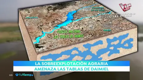 Las Tablas de Daimiel, un lugar único en el mundo sin agua Las Tablas de Daimiel, un lugar único en el mundo sin agua