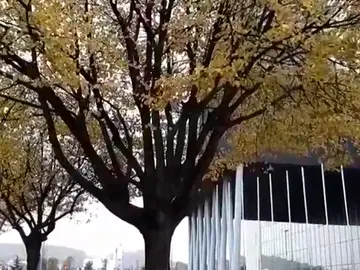 Rescatan en el País Vasco a un hombre subido a un árbol que huyó tras un accidente de tráfico Rescatan en el País Vasco a un hombre subido a un árbol que huyó tras un accidente de tráfico